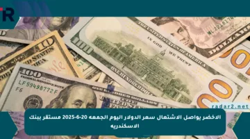 الأخضر يواصل الاشتعال سعر الدولار اليوم الجمعة 20-6-2025 مستقر ببنك الإسكندرية